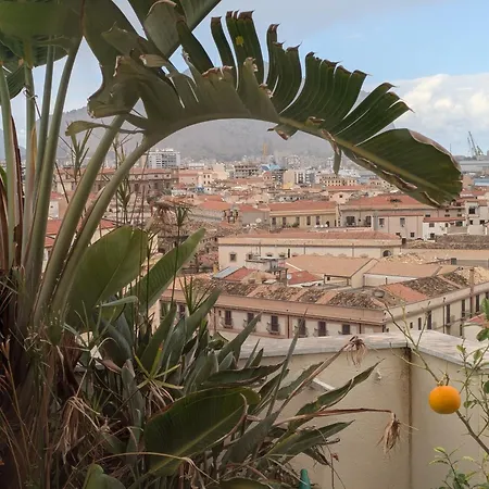 Divisi Palermo